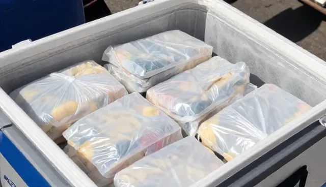 食品分装中运输条件把控，如何避免品质风险